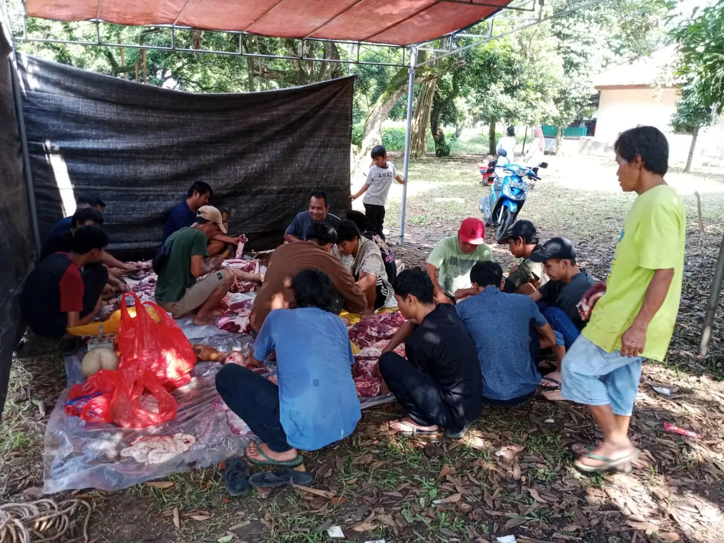 WhatsApp Image 2025-06-26 at 11.58.21_282a826e